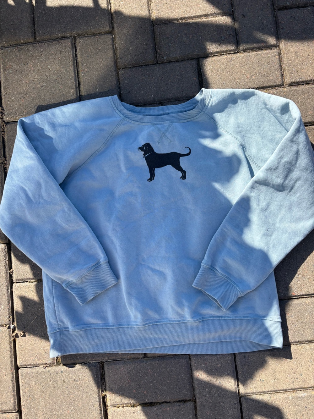 The Black Dog Light Blue Crewneck Sweatshirt with Black Dog Graphic